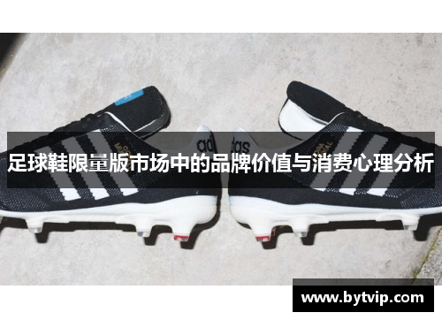 足球鞋限量版市场中的品牌价值与消费心理分析